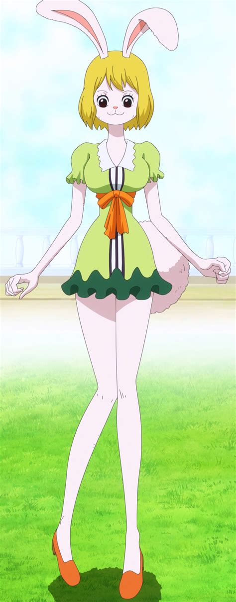 hentai one piece carrot|Character: carrot (popular)